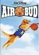 We Had A Seance To Resurrect The Spirit Of Air Bud 20 Years Later | Complex
