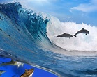 Dolphins Swimming With Waves Wallpaper download - Dolphin HD Wallpaper ...