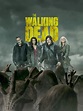 Watch The Walking Dead online free