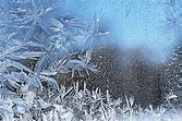 Selep Imaging Blog: Polar Vortex Window Frost