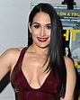 EXCLUSIVE: Nikki Bella spills the beans on sharing the WWE ring with ex ...