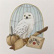 Harry Potter Hedwig Drawing at PaintingValley.com | Explore collection ...
