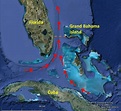 The Gulf Stream through the Florida Strait. | Download Scientific Diagram