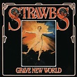 Grave New World - Album by Strawbs | Spotify