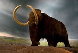 mammoth | Definition, Size, Height, Picture, & Facts | Britannica