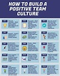 How to Build a Positive Team Culture | Science for Sport