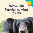Top fundraising tips from Animals Asia Foundation - Easyfundraising Blog