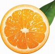 Orange PNG Image - PurePNG | Free transparent CC0 PNG Image Library