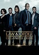 Law & Order: Organized Crime - streaming online