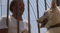 Der weiße Hund von Beverly Hills (1982) – Filmkritik | Fluxkompensator