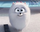 Gidget/Gallery | The Secret Life of Pets Wiki | FANDOM powered by Wikia