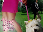 Dog Gone Love (2003) - Rotten Tomatoes