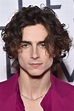 Timothée Chalamet - Profile Images — The Movie Database (TMDB)