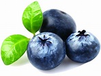 Arándanos azules: reducen el colesterol y fortalecen el sistema ...