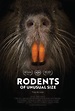 Rodents Of Unusual Size Movie Poster - #492654