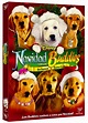 Navidad con los Buddies: En busca de Santa Can - DVD - Robert Vince | Fnac