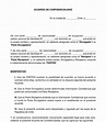 Acuerdo de Confidencialidad (NDA) - Modelo | Word y PDF