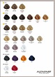 Carta de colores Evolution of the Color³ | Tablas de colores de pelo ...