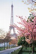 Paris in April - Things To Do, Festivals, Events, Essentials - Guide ...