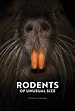 RODENTS OF UNUSUAL SIZE (2017) Overview - MOVIES and MANIA