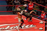 La empresa mexicana de lucha libre AAA reanudará sus actividades con ...