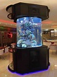 Custom Fish Tanks & Aquariums - We Build and Maintain Fish Tanks
