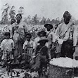 How America was built on slavery: Those roots can still be felt today ...