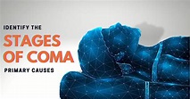 Identify the 4 stages of coma - How long does coma last? | Sri ...