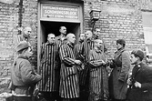 Libertação soviética de Auschwitz: lembranças e fotos de quem viveu ...