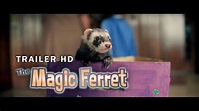 The Magic Ferret Trailer HD - YouTube