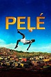 Ver Pelé, el nacimiento de una leyenda (2016) Online - CUEVANA 3