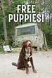 Free Puppies! (película 2022) - Tráiler. resumen, reparto y dónde ver ...