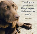 Mark Twain Quotes About Dogs – VitalCute