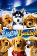 Snow Buddies (2008) - Posters — The Movie Database (TMDb)