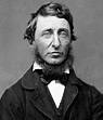 Henry David Thoreau Walden, or Life in the Woods — DOP