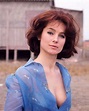 Shirley Anne Field, UK actress | Shirley anne field, Actresses ...