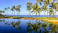Palmeras en Wailea, Maui, Hawái - Bahía César | Maui, Hawai, Palmeras