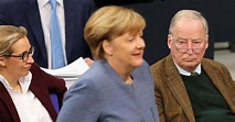 Hat Merkel sauber getrennt? - AfD - DIE RHEINPFALZ
