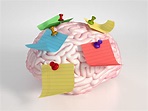 40 tipos de memoria ¿Cómo guarda el cerebro humano los recuerdos?
