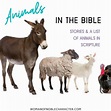 Animals In The Bible: 14 Stories Of Animals God Used And A ...