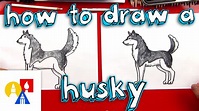 How To Draw A Husky! - PawBuzz