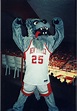 Lobo (New Mexico mascot) - Alchetron, the free social encyclopedia