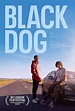 Black Dog (2023) - FilmAffinity