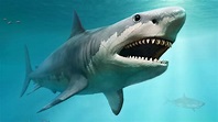 Prehistoric survivor? How we know the 'Meg' is dead | Fox News