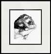 "A Ferret Named Weasel" by Carole Raschella | Ferret names, Ferret ...