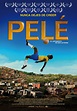 Pelé, el nacimiento de una leyenda cartel de la película