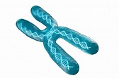 Cromosoma con representación 3d de fondo blanco | Foto Premium