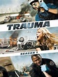 Trauma (Serie de TV) (2009) - FilmAffinity