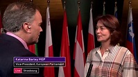 Katarina Barley MEP: ‘At least parliament said yes to something ...