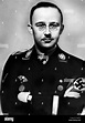 Portrait of Heinrich Himmler, 1939 Stock Photo - Alamy